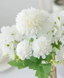 অন্যান্য